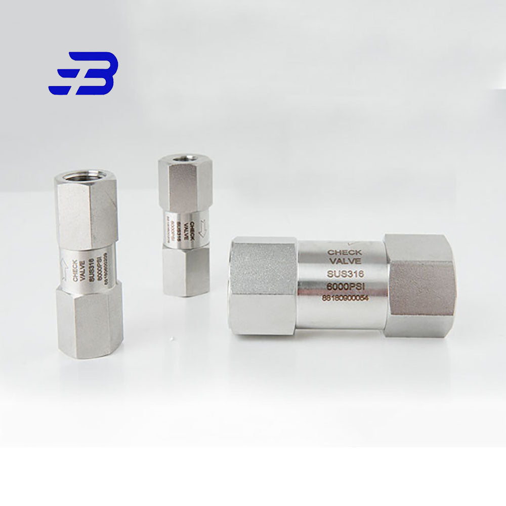 S.S. CHECK VALVE 1/4" 6000 PSI
